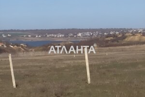 Земельна ділянка сільськогосподарського призначення в Олександрівці, площа 50 соток фото 2