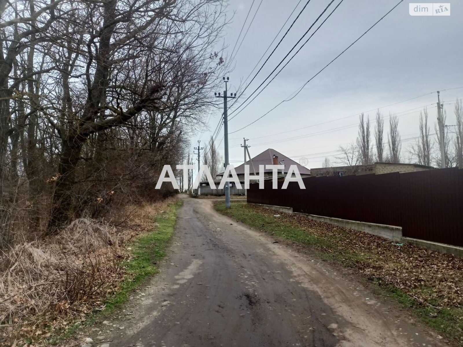 Земельна ділянка сільськогосподарського призначення в Олександрівці, площа 10 соток фото 1