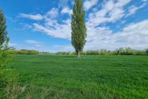 Земельна ділянка сільськогосподарського призначення в Олександрівці, площа 12 Га фото 2