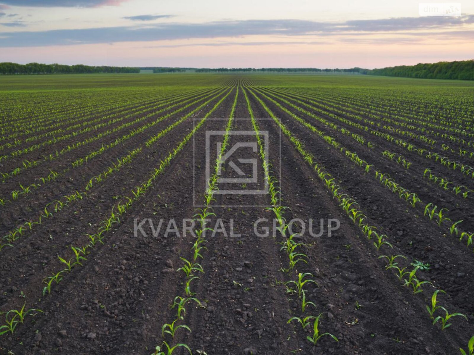 Земельный участок сельскохозяйственного назначения в Андреевке, площадь 100 соток фото 1 Земельный участок сельскохозяйственного назначения в Андреевке, площадь 100 соток фото 1