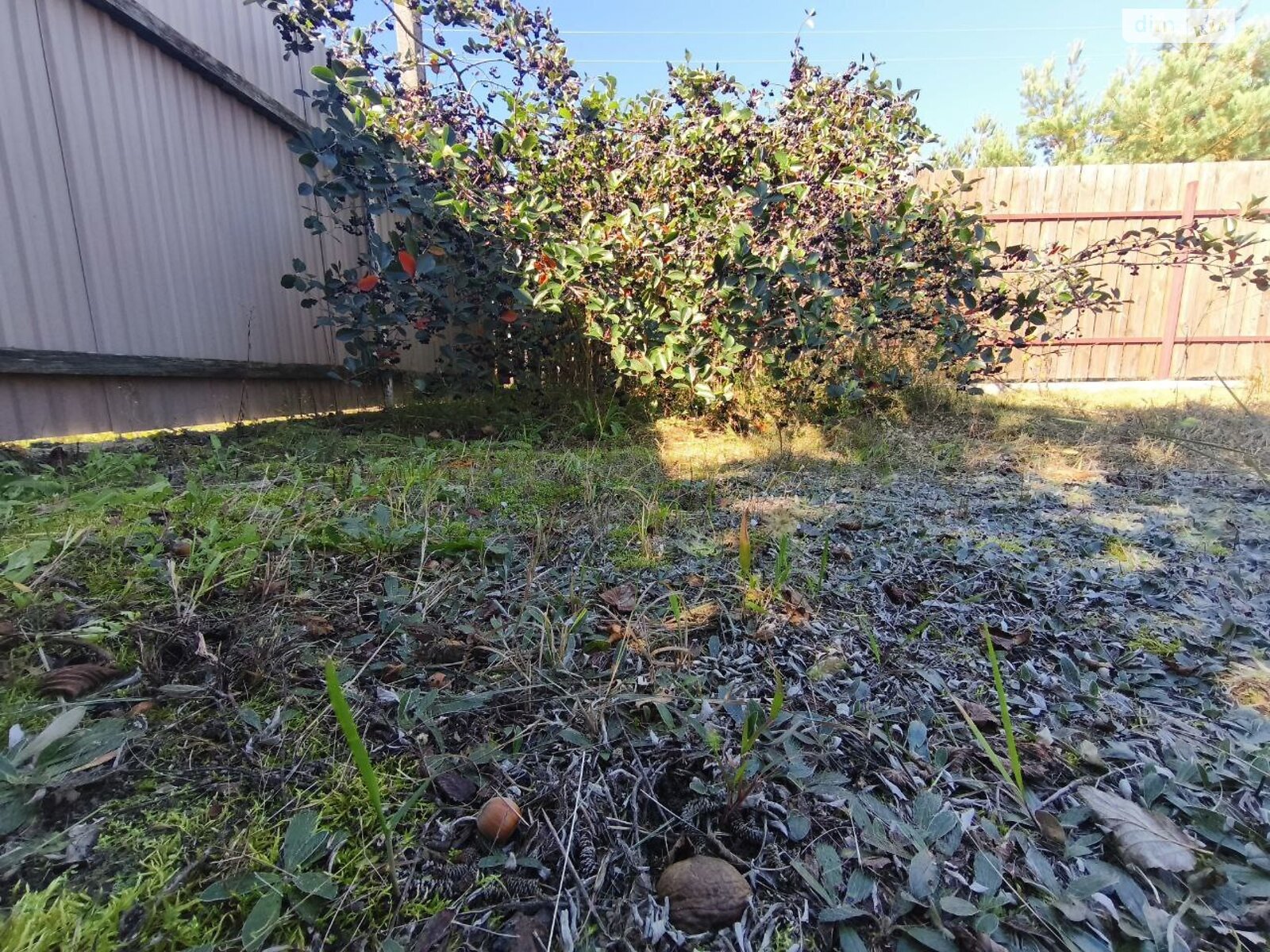 Земельный участок сельскохозяйственного назначения в Андреевке, площадь 6.02 сотки фото 1