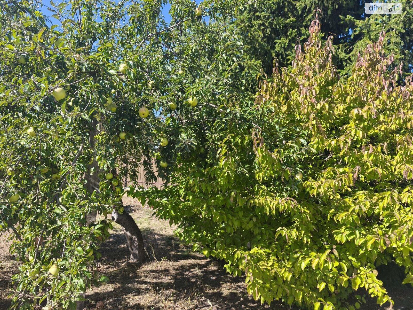 Земельный участок сельскохозяйственного назначения в Андреевке, площадь 6.02 сотки фото 1
