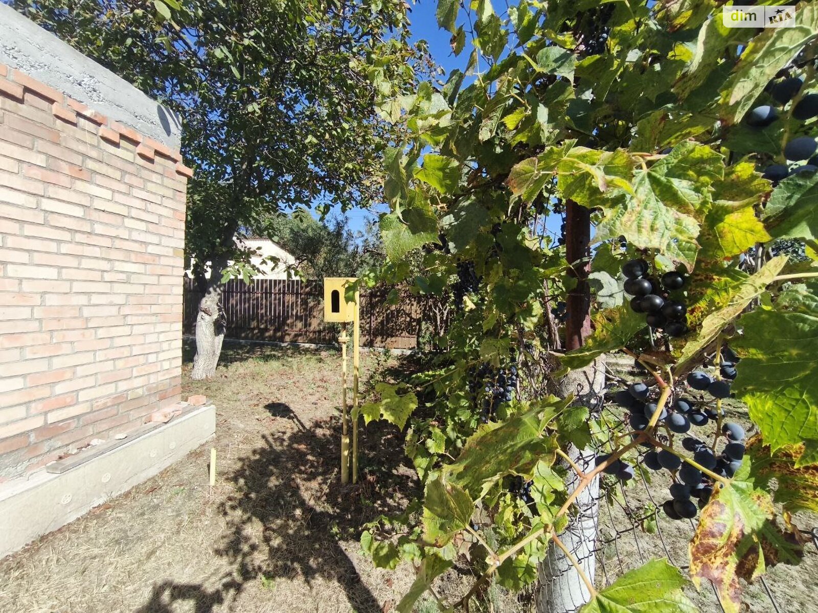 Земельный участок сельскохозяйственного назначения в Андреевке, площадь 6.02 сотки фото 1