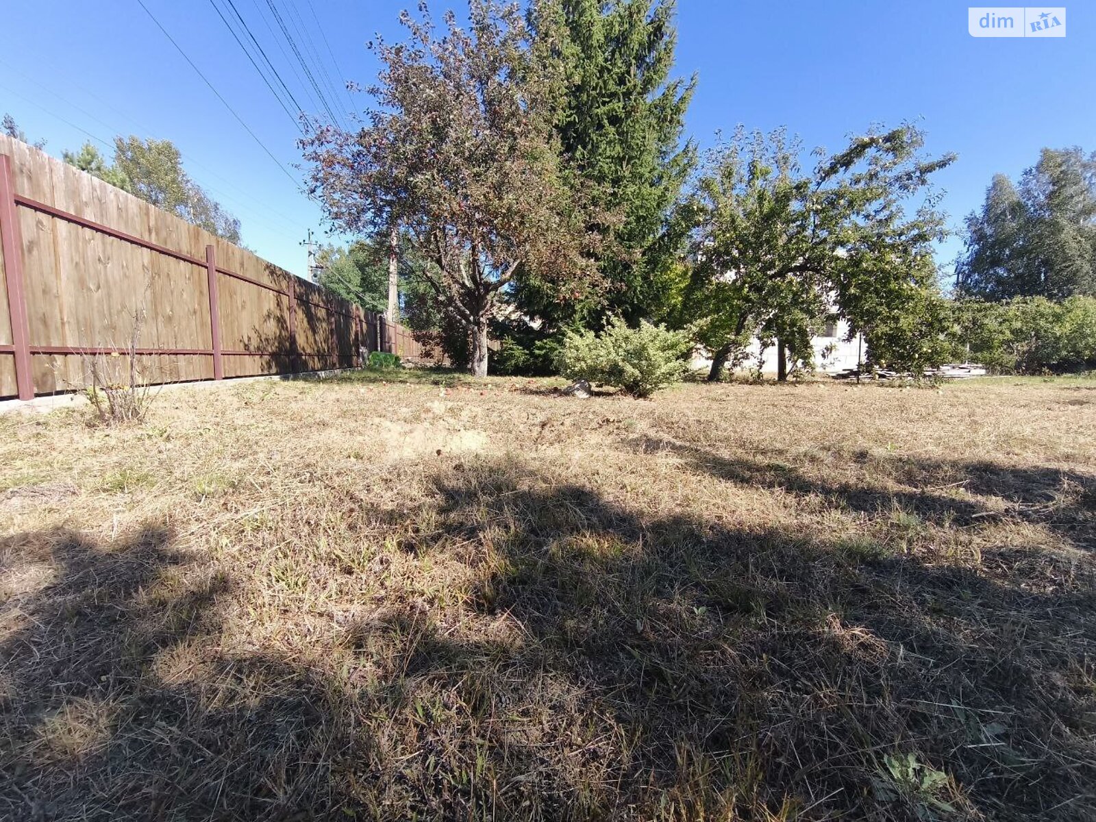 Земельный участок сельскохозяйственного назначения в Андреевке, площадь 6.02 сотки фото 1