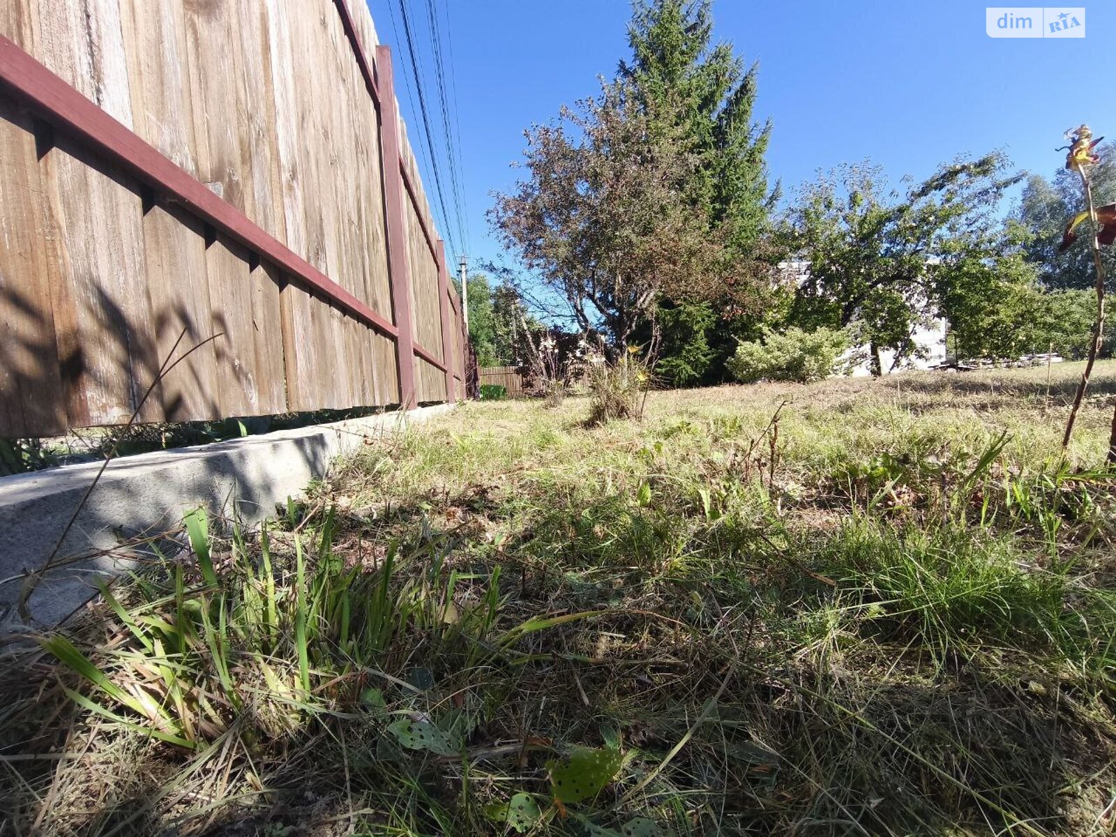 Земельный участок сельскохозяйственного назначения в Андреевке, площадь 6.02 сотки фото 1