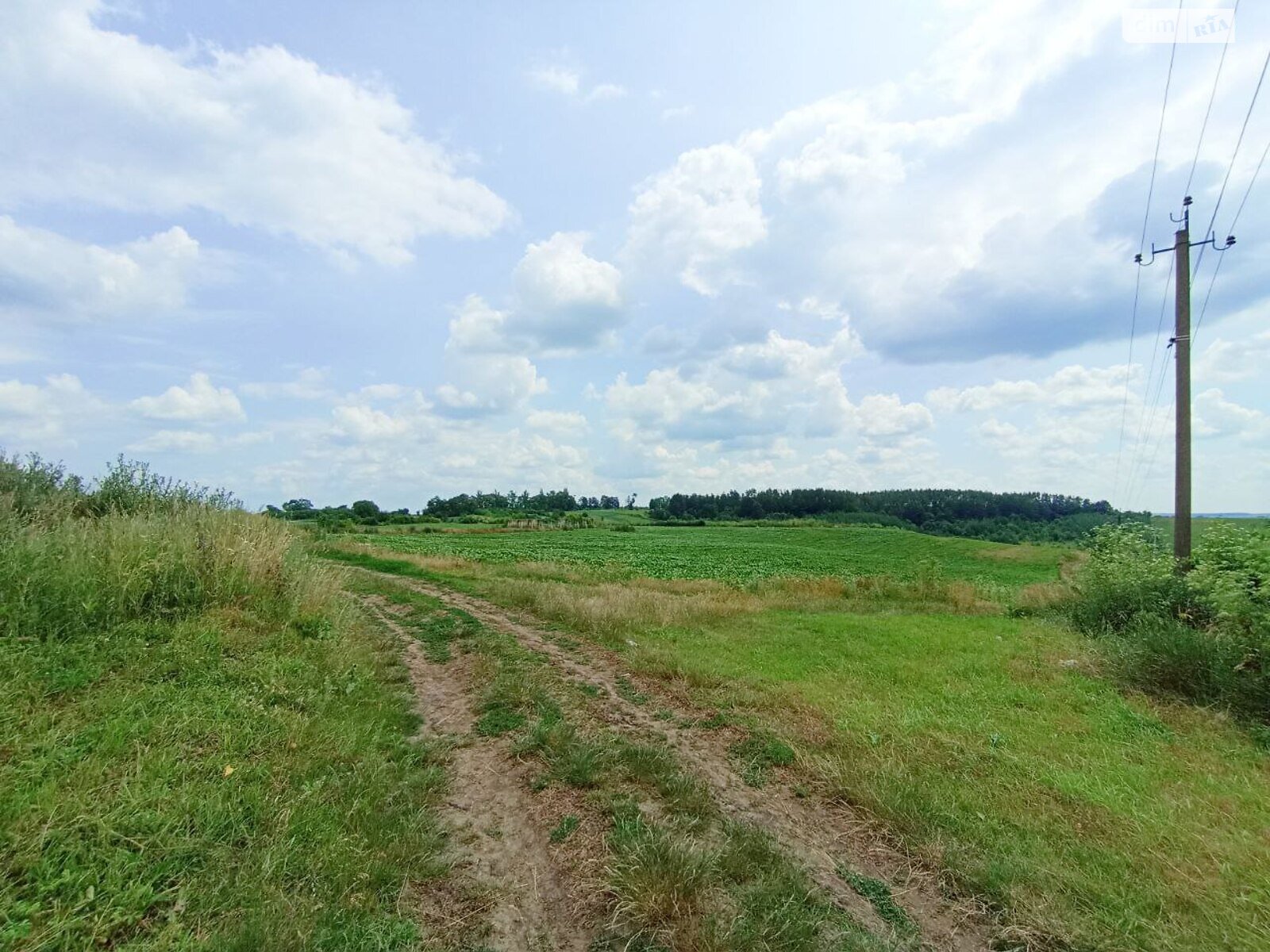 Земельна ділянка сільськогосподарського призначення в Антонівці, площа 30 Га фото 1