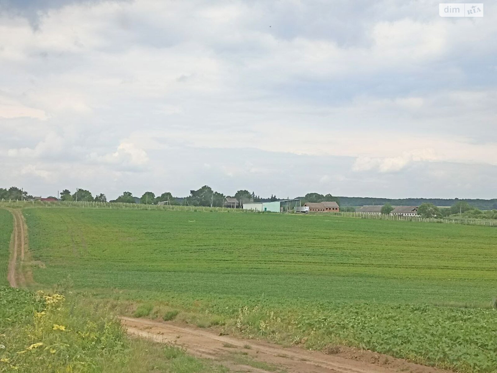 Земельный участок сельскохозяйственного назначения в Антоновцах, площадь 30 Га фото 1
