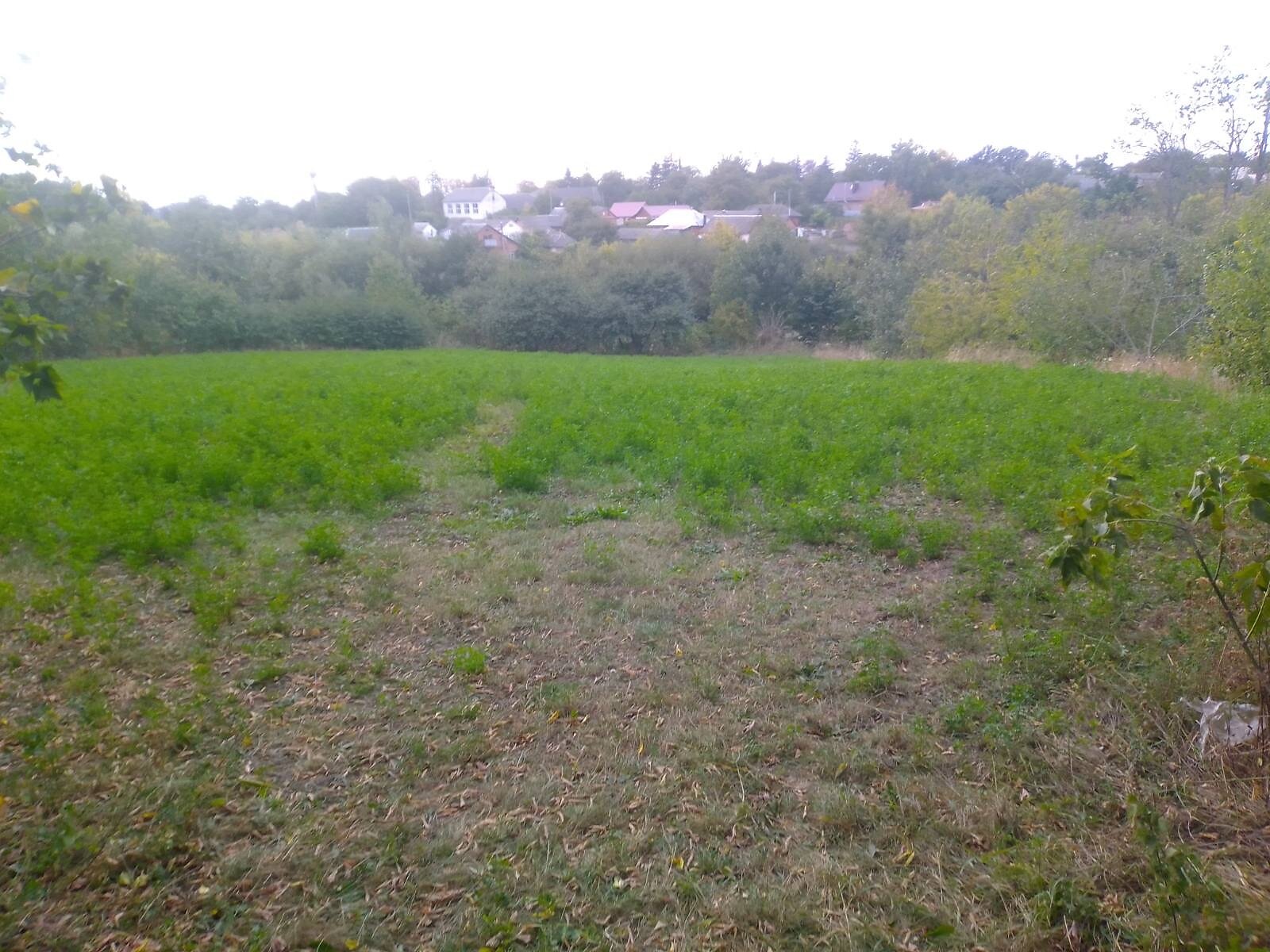 Земельный участок сельскохозяйственного назначения в Антоновцах, площадь 17 соток фото 1