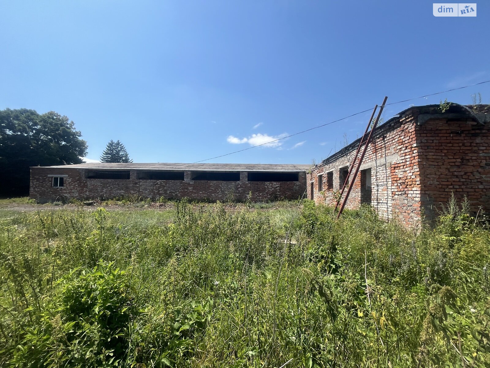 Земельна ділянка сільськогосподарського призначення в Аркадіївці, площа 200 соток фото 1 Земельна ділянка сільськогосподарського призначення в Аркадіївці, площа 200 соток фото 1
