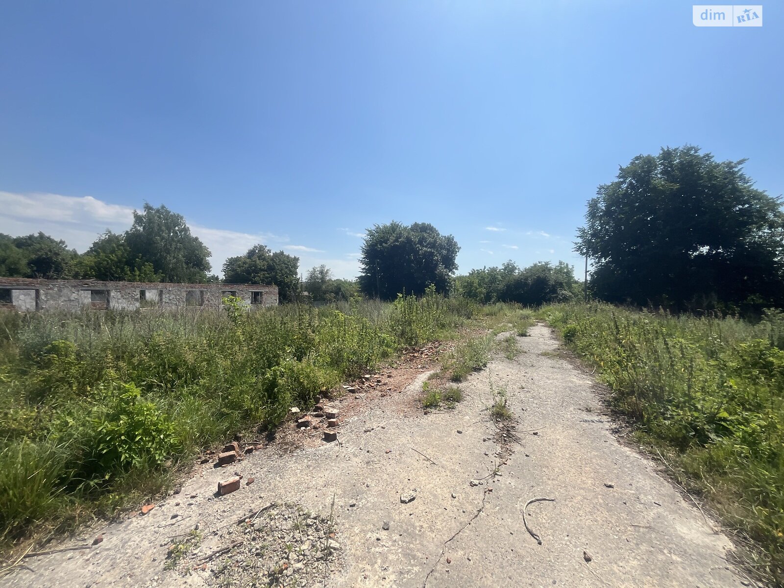 Земельна ділянка сільськогосподарського призначення в Аркадіївці, площа 200 соток фото 1 Земельна ділянка сільськогосподарського призначення в Аркадіївці, площа 200 соток фото 1