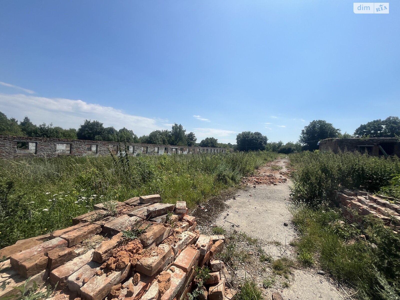 Земельна ділянка сільськогосподарського призначення в Аркадіївці, площа 200 соток фото 1 Земельна ділянка сільськогосподарського призначення в Аркадіївці, площа 200 соток фото 1