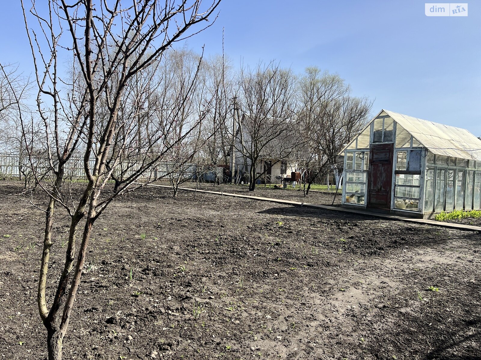 Земельна ділянка сільськогосподарського призначення в Артемівці, площа 8 соток фото 1