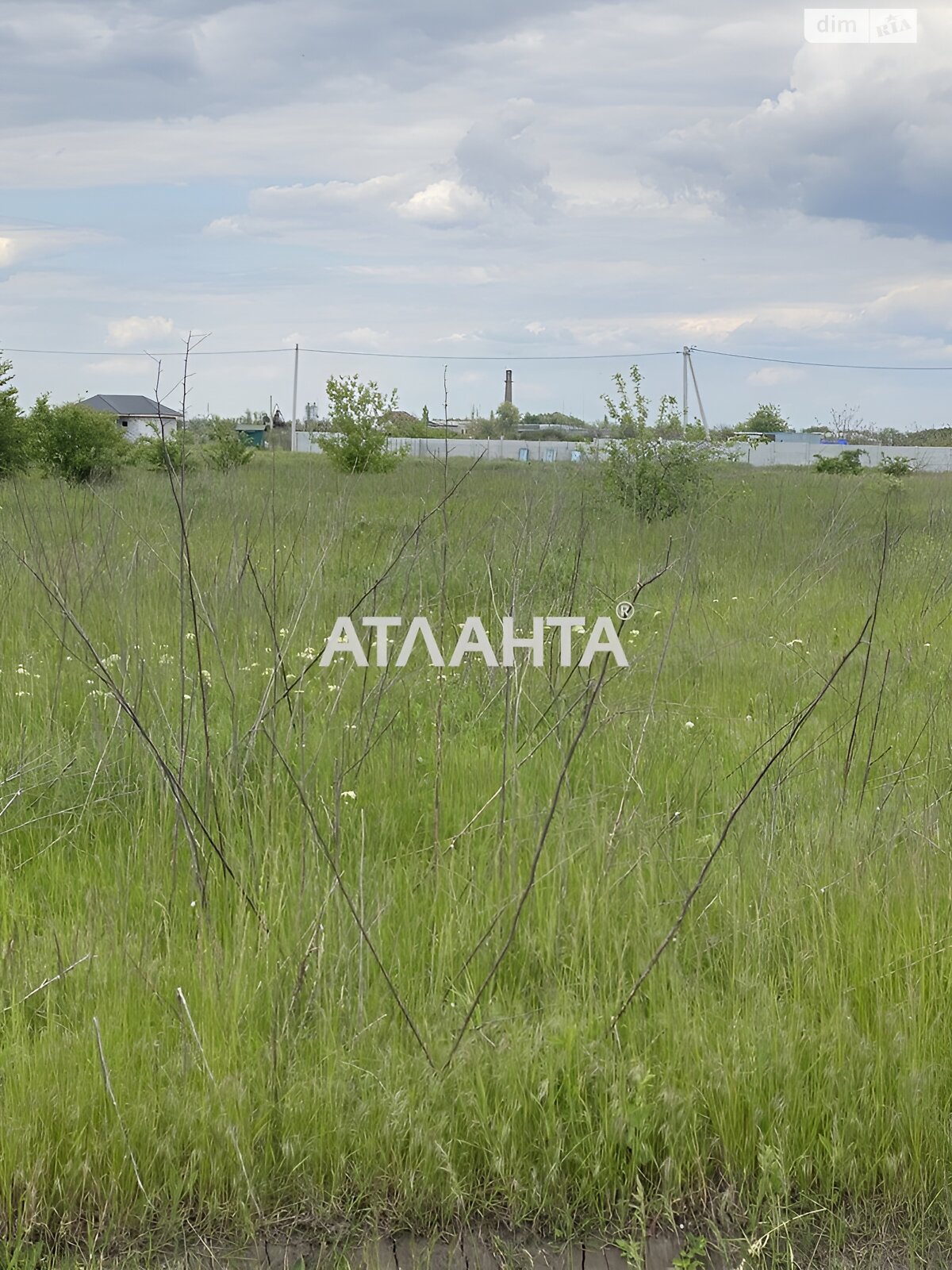 Земельна ділянка сільськогосподарського призначення в Авангарді, площа 45 соток фото 1 Земельна ділянка сільськогосподарського призначення в Авангарді, площа 45 соток фото 1
