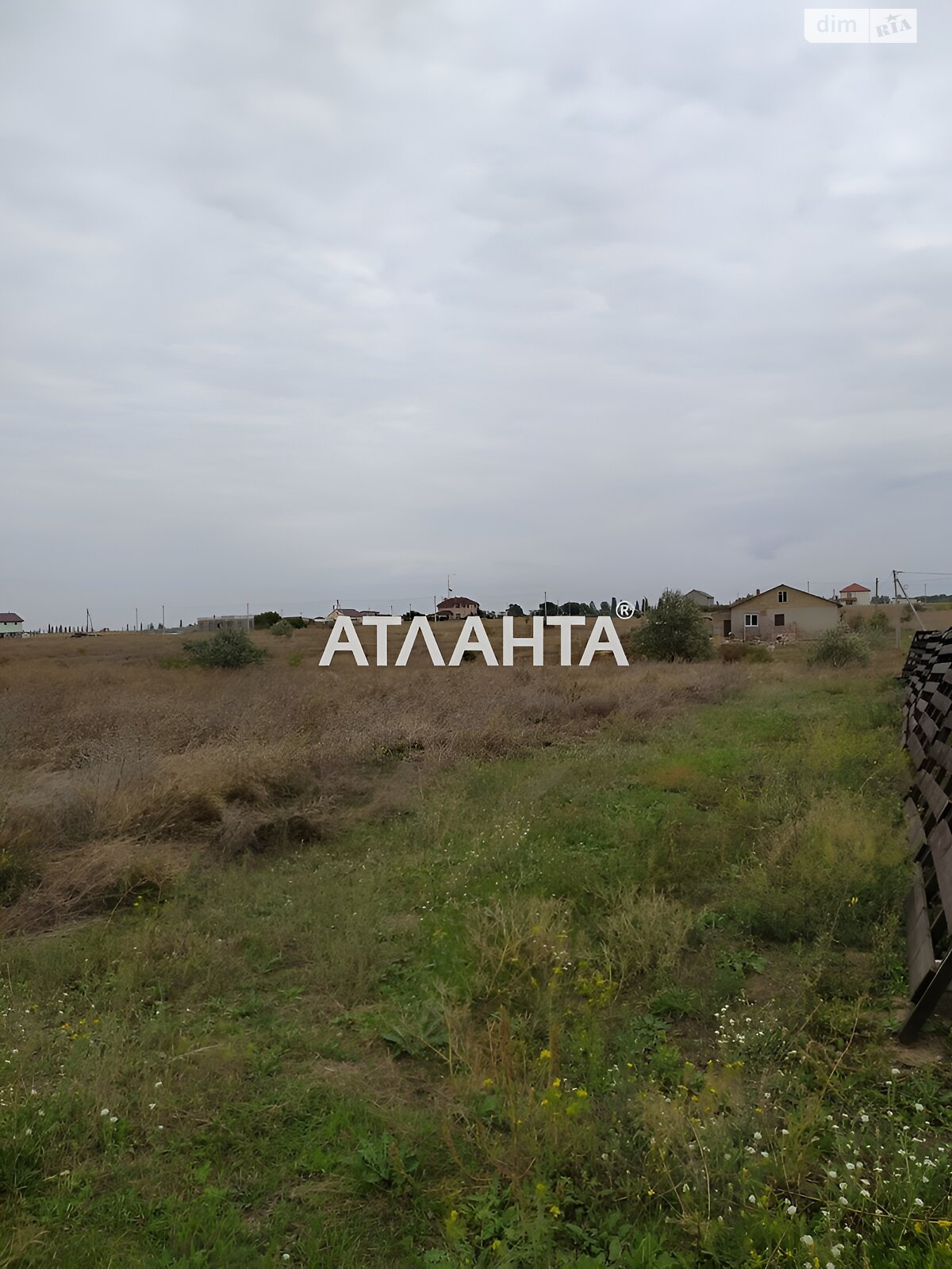 Земельна ділянка сільськогосподарського призначення в Авангарді, площа 45 соток фото 1 Земельна ділянка сільськогосподарського призначення в Авангарді, площа 45 соток фото 1