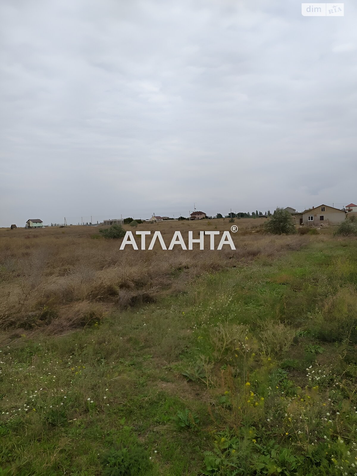 Земельна ділянка сільськогосподарського призначення в Авангарді, площа 45 соток фото 1 Земельна ділянка сільськогосподарського призначення в Авангарді, площа 45 соток фото 1