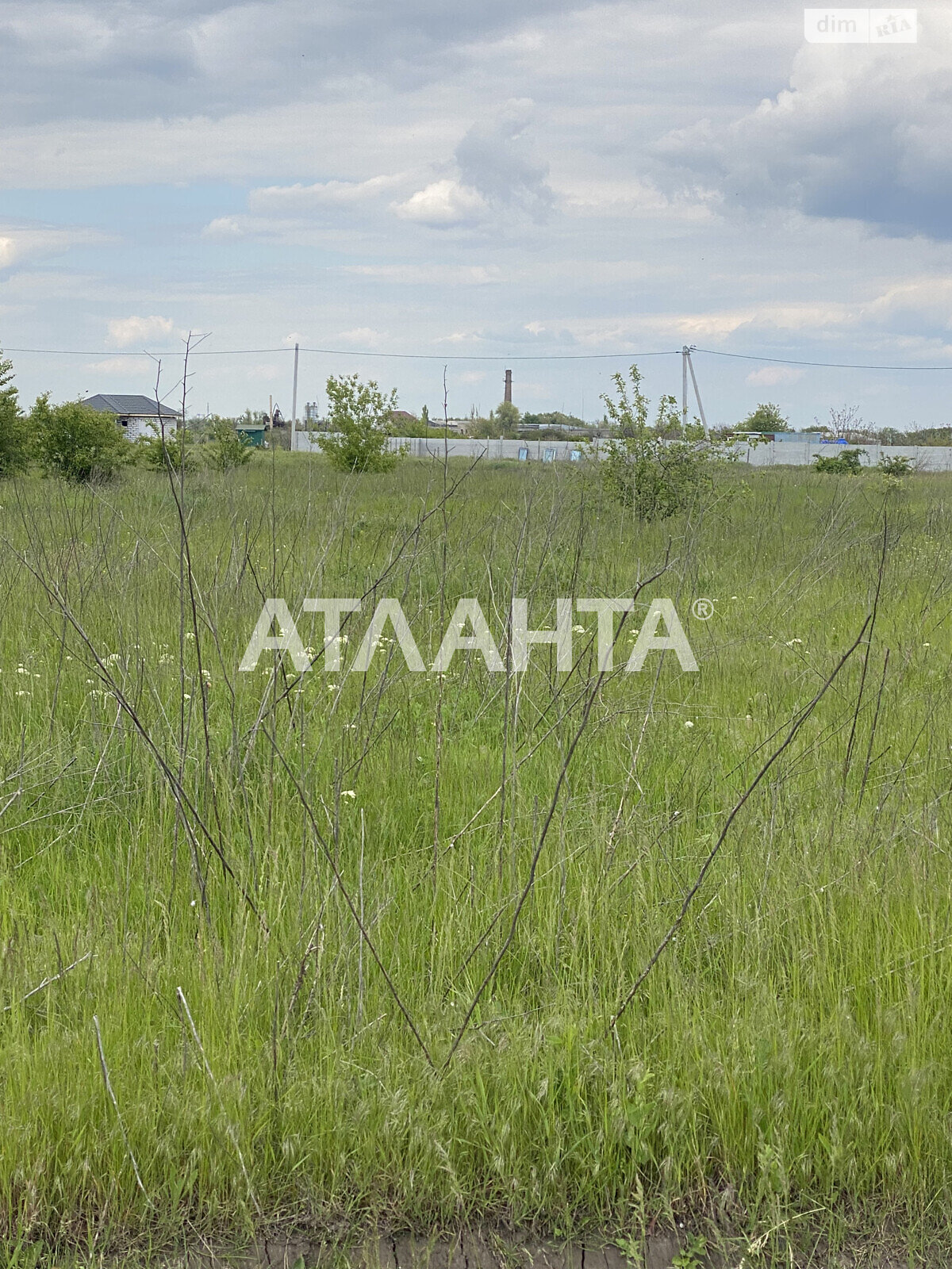 Земельный участок сельскохозяйственного назначения в Авангарде, площадь 45 соток фото 1 Земельный участок сельскохозяйственного назначения в Авангарде, площадь 45 соток фото 1