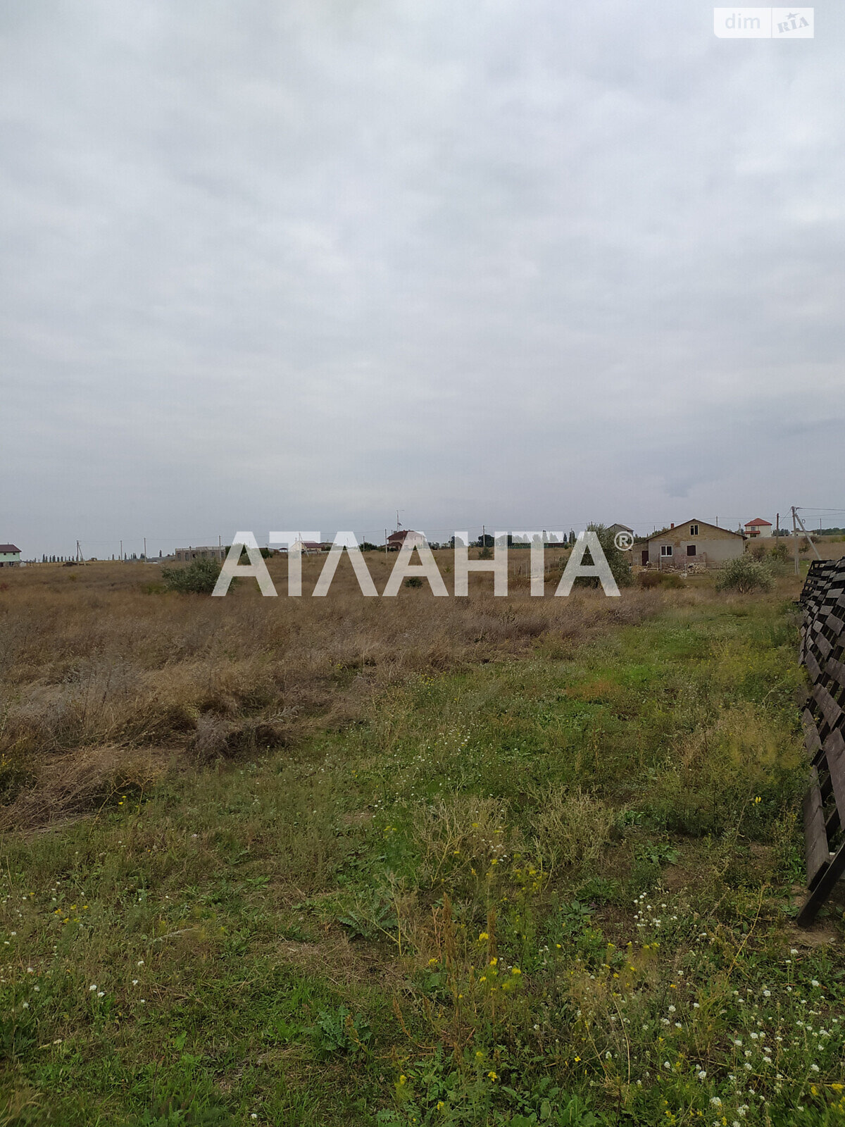 Земельный участок сельскохозяйственного назначения в Авангарде, площадь 45 соток фото 1 Земельный участок сельскохозяйственного назначения в Авангарде, площадь 45 соток фото 1