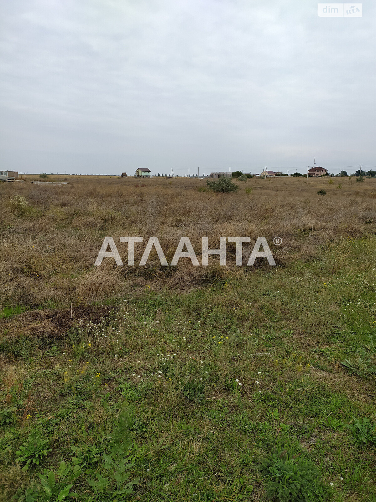 Земельный участок сельскохозяйственного назначения в Авангарде, площадь 45 соток фото 1 Земельный участок сельскохозяйственного назначения в Авангарде, площадь 45 соток фото 1