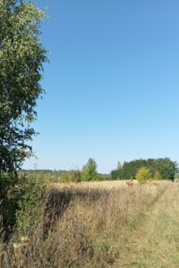 Земельный участок сельскохозяйственного назначения в Баламутовке, площадь 125 соток фото 2