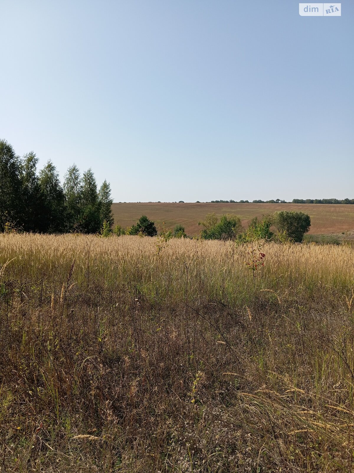 Земельный участок сельскохозяйственного назначения в Баламутовке, площадь 125 соток фото 1