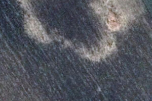 Земельный участок сельскохозяйственного назначения в Балте, площадь 2 Га фото 1