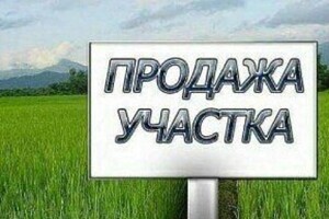 Земельна ділянка сільськогосподарського призначення в Степанках, площа 10 Га фото 2