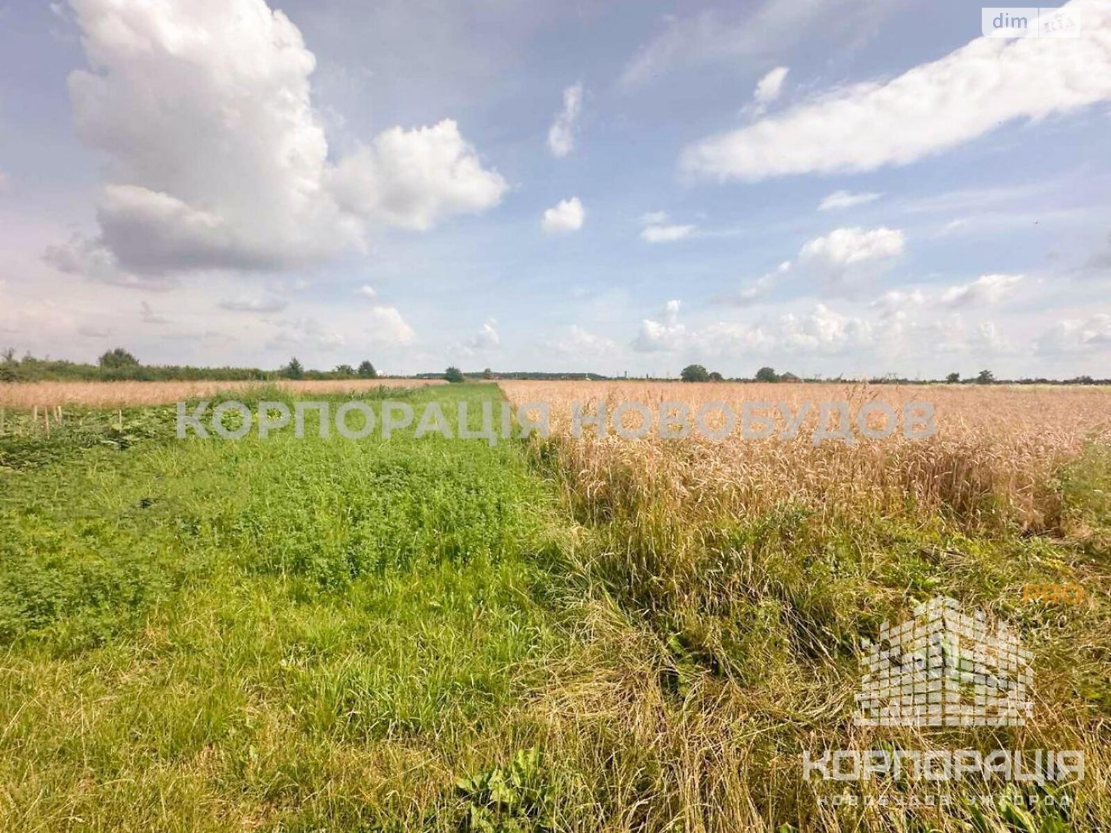 Земельный участок сельскохозяйственного назначения в Баранинцах, площадь 25 соток фото 1 Земельный участок сельскохозяйственного назначения в Баранинцах, площадь 25 соток фото 1
