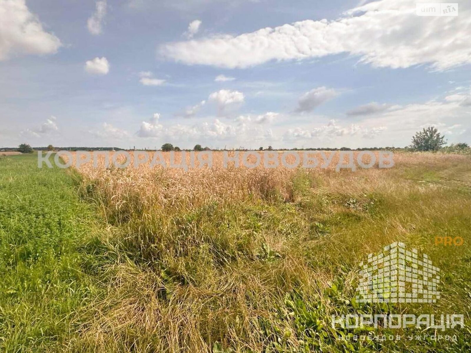 Земельный участок сельскохозяйственного назначения в Баранинцах, площадь 29 соток фото 1