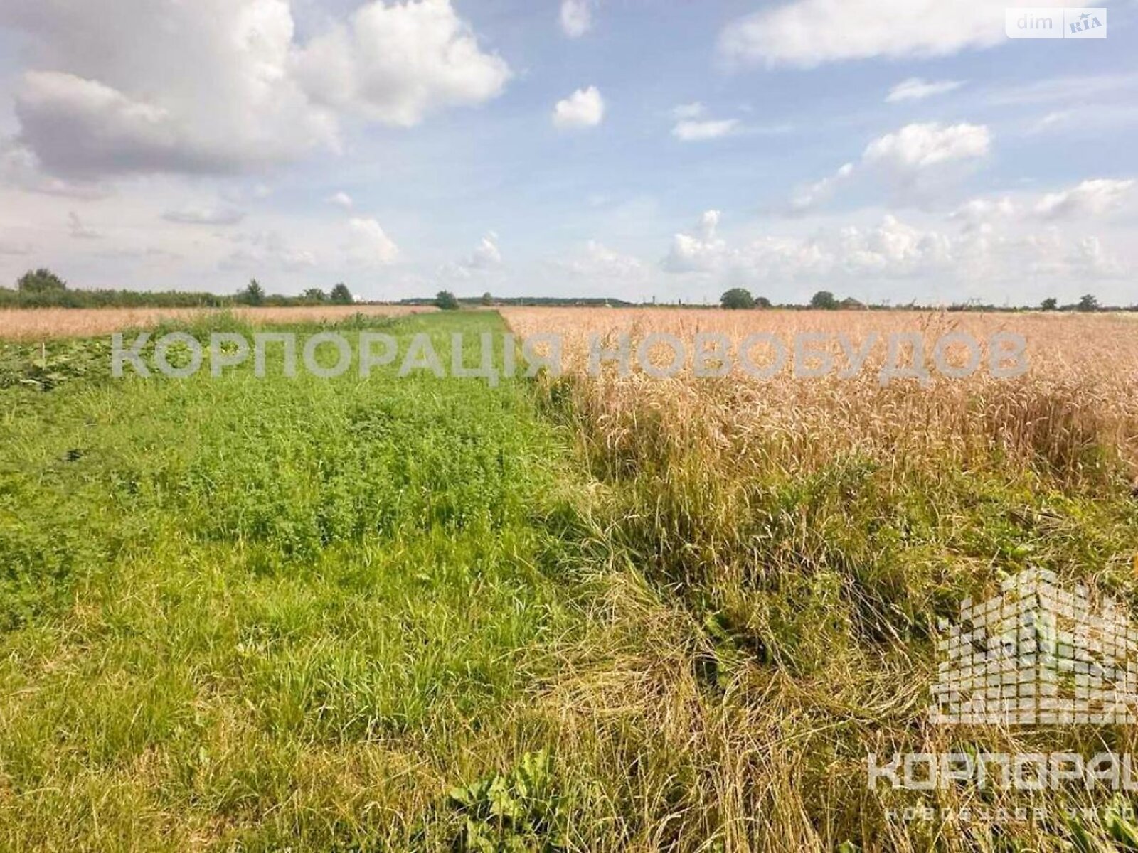 Земельный участок сельскохозяйственного назначения в Баранинцах, площадь 29 соток фото 1