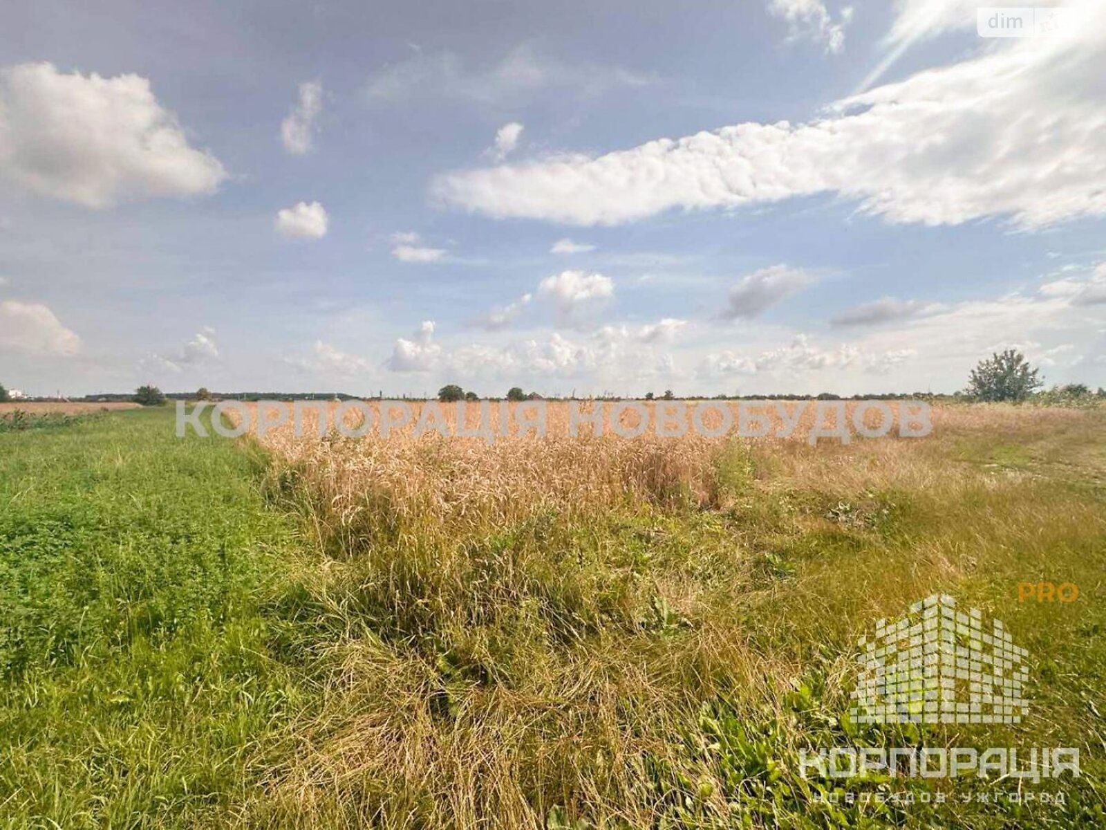 Земельный участок сельскохозяйственного назначения в Баранинцах, площадь 29 соток фото 1