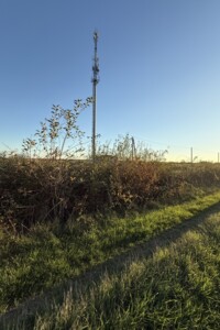 Земельный участок сельскохозяйственного назначения в Баранинцах, площадь 30 соток фото 2