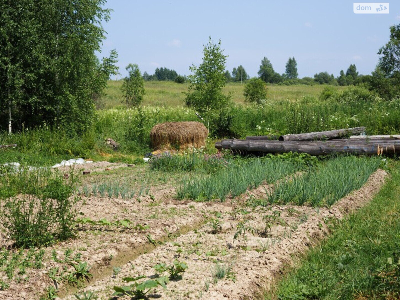 Земельный участок сельскохозяйственного назначения в Поделье, площадь 1 Га фото 1