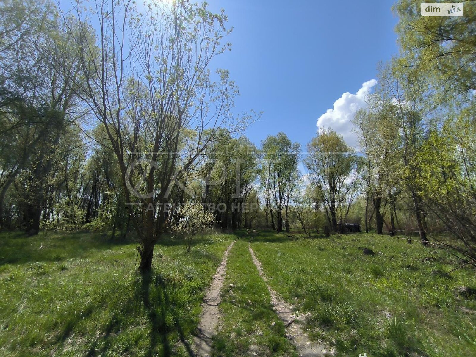 Земельна ділянка сільськогосподарського призначення в Баришівці, площа 3000 соток фото 1