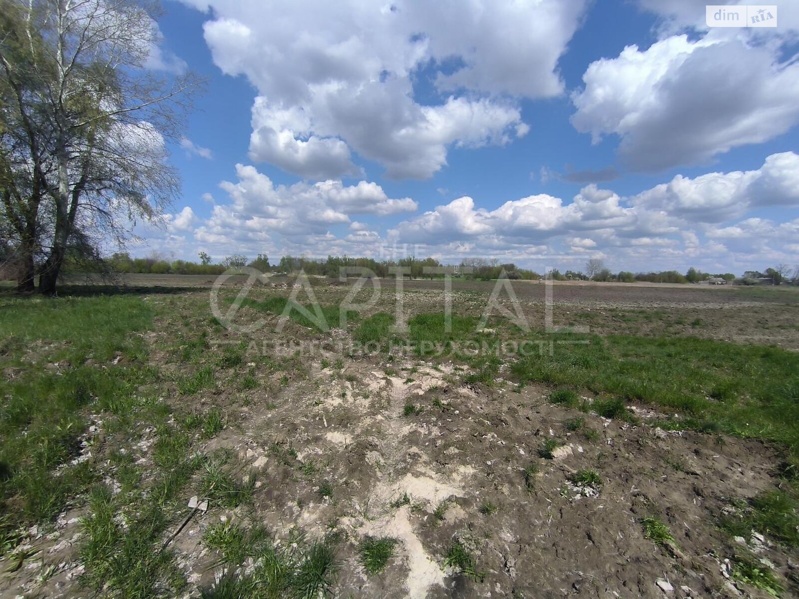 Земельна ділянка сільськогосподарського призначення в Баришівці, площа 3000 соток фото 1