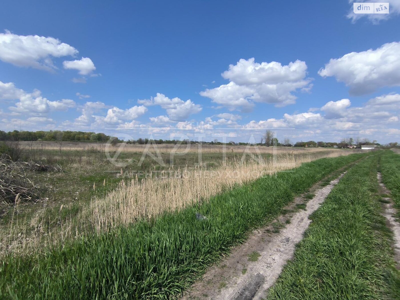 Земельна ділянка сільськогосподарського призначення в Баришівці, площа 3000 соток фото 1