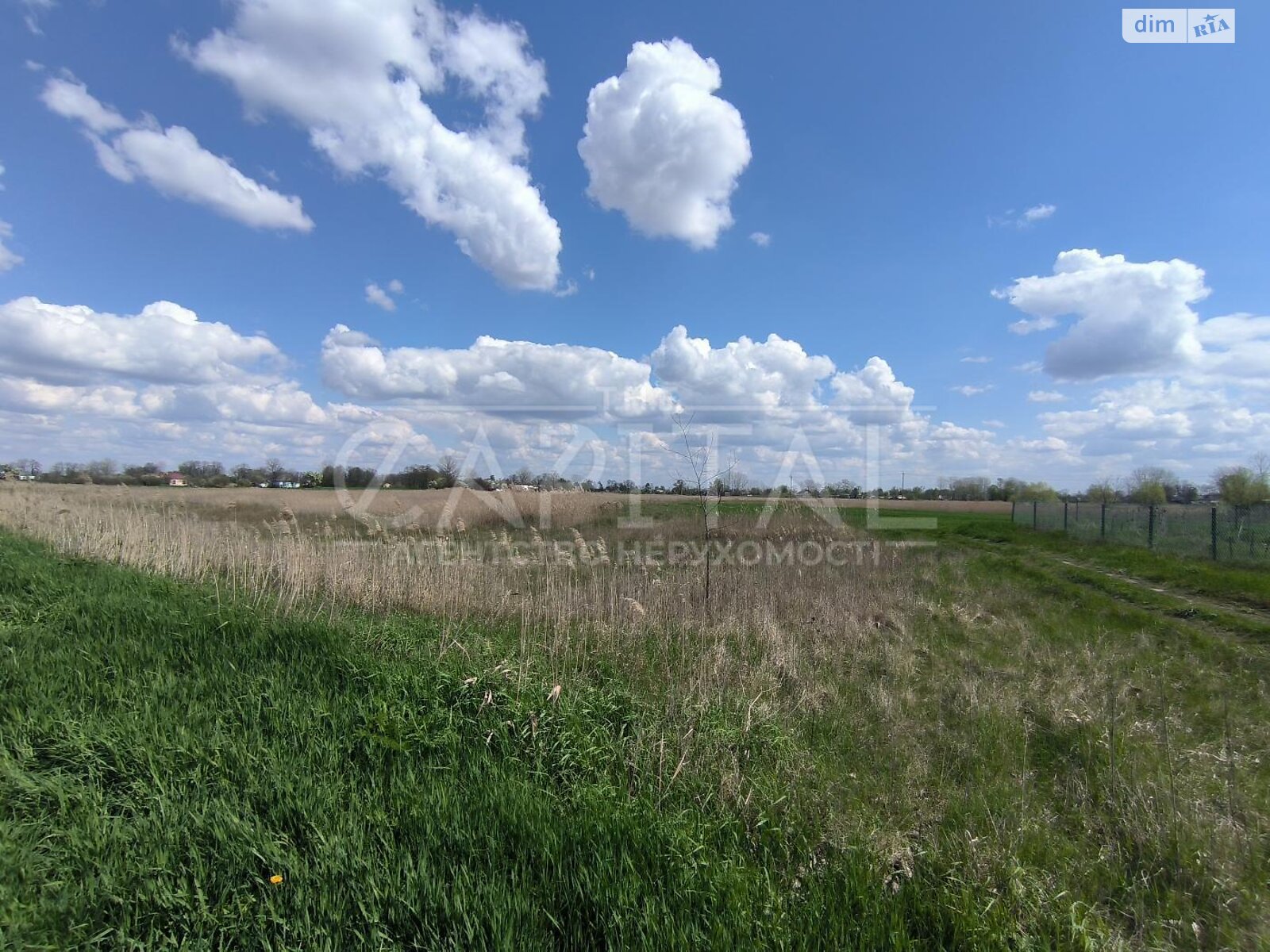 Земельна ділянка сільськогосподарського призначення в Баришівці, площа 3000 соток фото 1