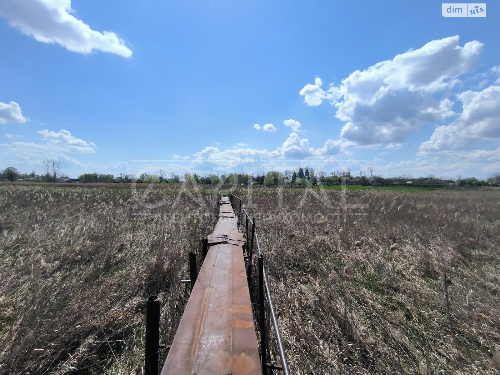 Земельна ділянка сільськогосподарського призначення в Баришівці, площа 3000 соток фото 1