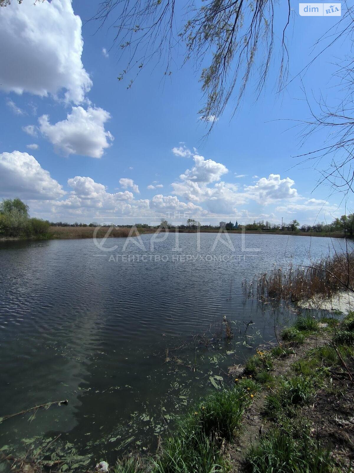 Земельна ділянка сільськогосподарського призначення в Баришівці, площа 3000 соток фото 1