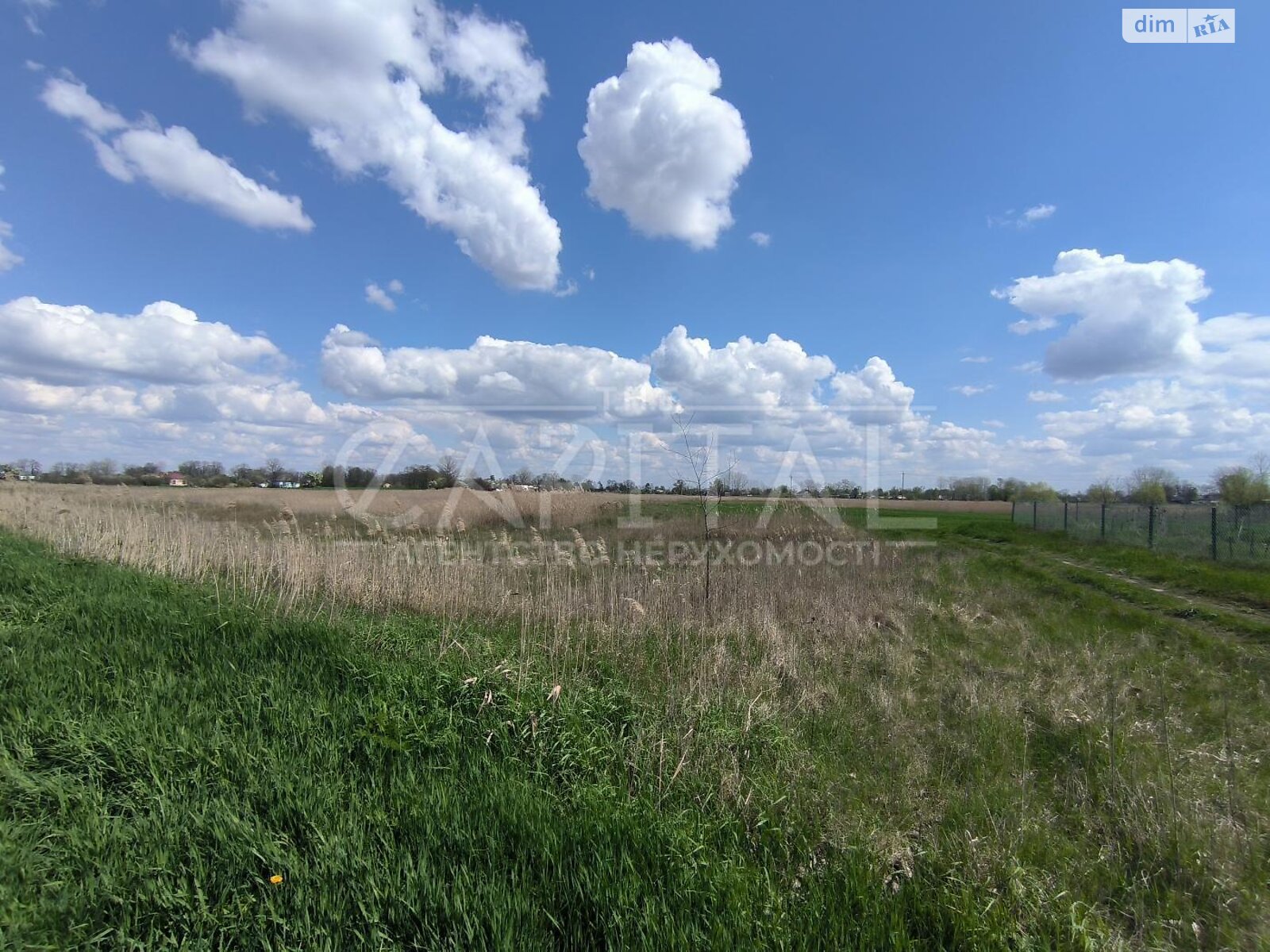 Земельный участок сельскохозяйственного назначения в Барышевке, площадь 3000 соток фото 1