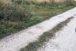 Земельный участок сельскохозяйственного назначения в Байковцах, площадь 26.19 сотки фото 2