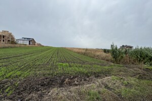 Земельна ділянка сільськогосподарського призначення в Байківці, площа 12.7 сотки фото 2