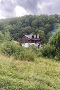 Земельна ділянка сільськогосподарського призначення в Беласовиці, площа 55 соток фото 2