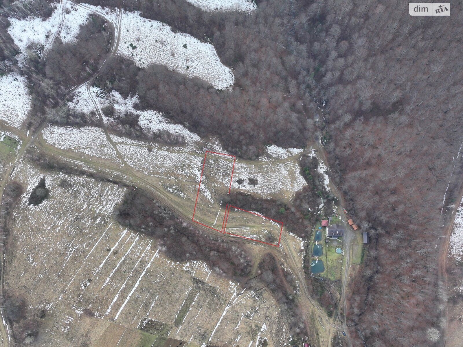 Земельна ділянка сільськогосподарського призначення в Беласовиці, площа 55 соток фото 1 Земельна ділянка сільськогосподарського призначення в Беласовиці, площа 55 соток фото 1