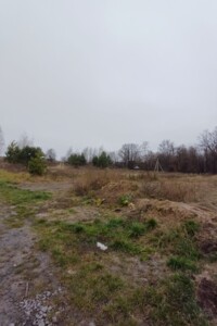 Земельна ділянка сільськогосподарського призначення в Білій Криниці, площа 23.88 сотки фото 2