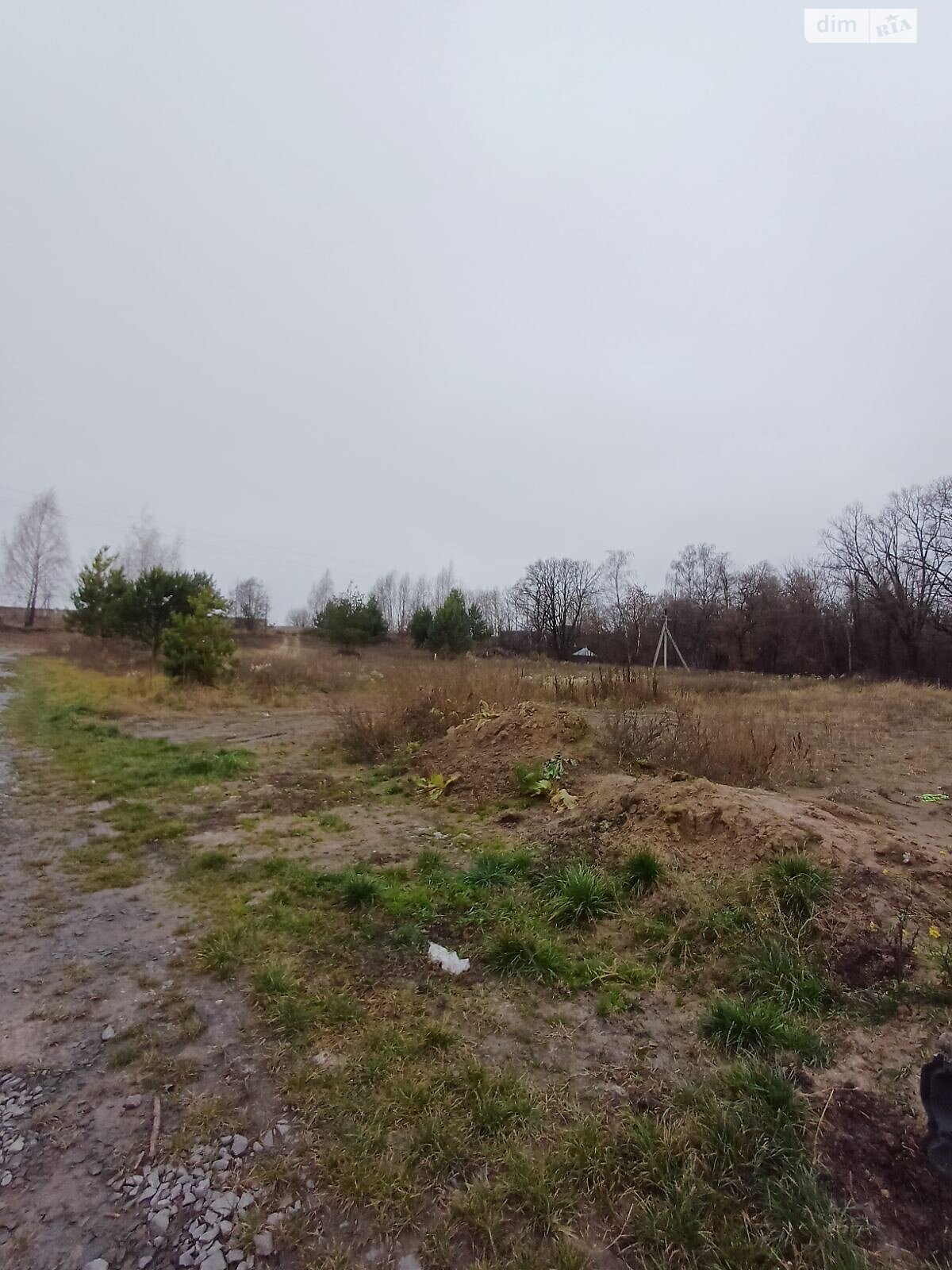 Земельна ділянка сільськогосподарського призначення в Білій Криниці, площа 23.88 сотки фото 1