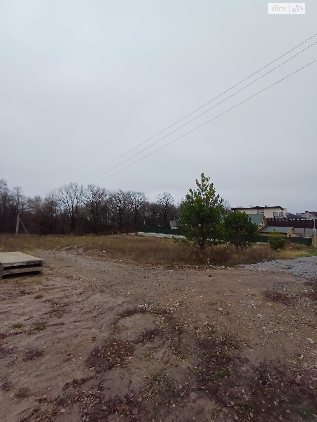 Земельна ділянка сільськогосподарського призначення в Білій Криниці, площа 23.88 сотки фото 1