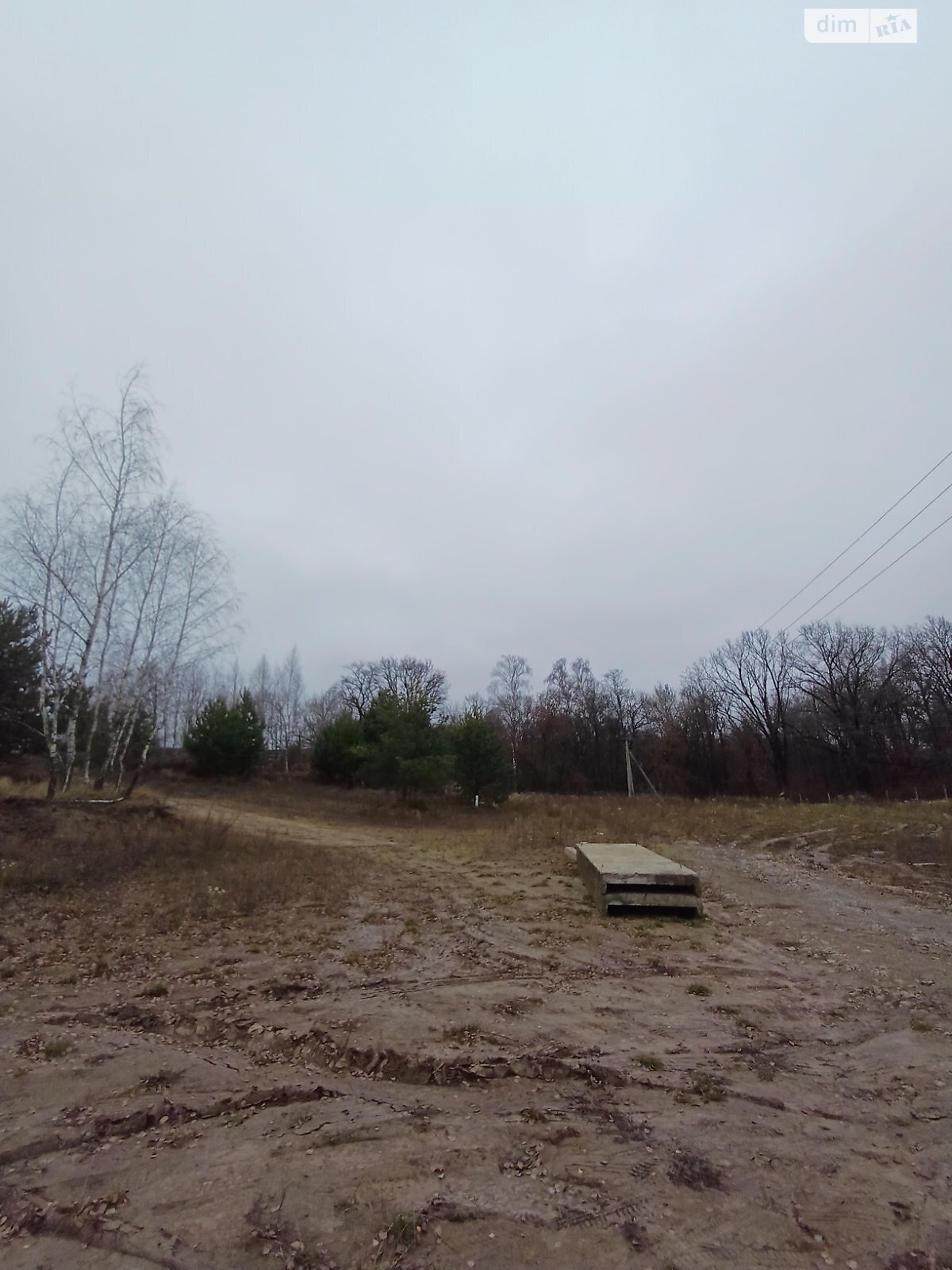Земельна ділянка сільськогосподарського призначення в Білій Криниці, площа 23.88 сотки фото 1