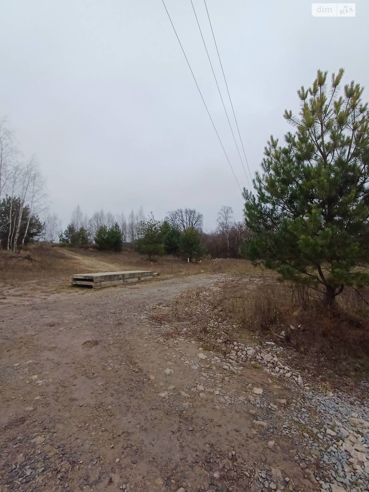 Земельна ділянка сільськогосподарського призначення в Білій Криниці, площа 23.88 сотки фото 1