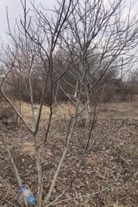 Земля сельскохозяйственного назначения в Белой Церкви, район Ж-д посёлок, площадь 6 соток фото 2