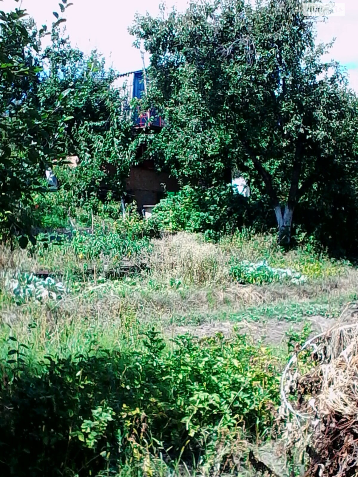 Земля сільськогосподарського призначення в Білій Церкві, район Сухий Яр, площа 8.25 сотки фото 1